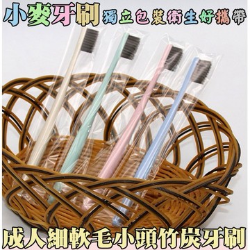 宛黛絲居家_附發票♥小麥秸稈成人牙刷♥獨立包裝 台灣熱銷 天然純淨小麥製細軟毛竹炭細絲牙刷 刷牙盥洗用品旅行 C107