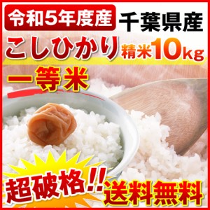 新米 お米 10キロ 令和5年度千葉県産 こしひかり10kg 精米 一等米 5年産 コシヒカリ ※一部地域は別途送料追加