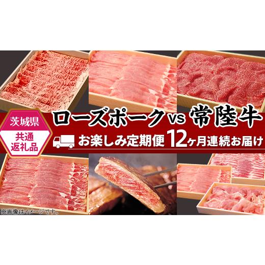 ふるさと納税 茨城県 茨城町 293肉 豚肉 牛肉 ローズポーク 常陸牛 お楽しみ 定期便 12ヶ月 すきやき しゃぶしゃぶ 焼肉 ステーキ 食べ比…