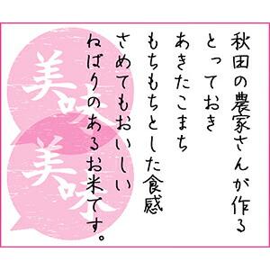 新米 米 5kg 精米 5年産 秋田県産 あきたこまち 白米5kg 送料無料 秋田こまち