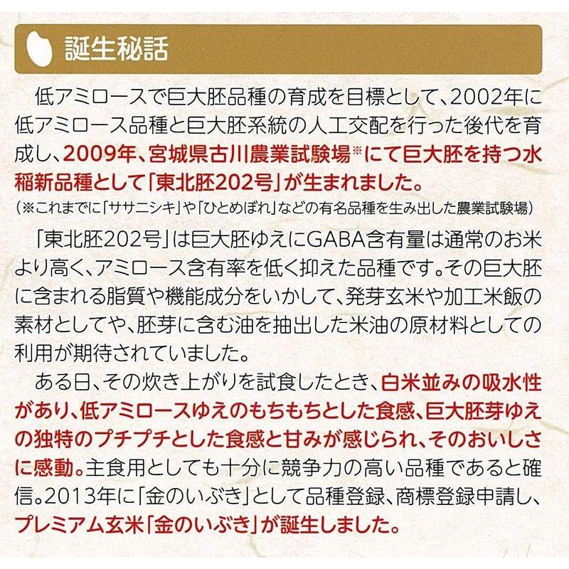 金のいぶき 発芽玄米 パックごはん (150g×12パック)