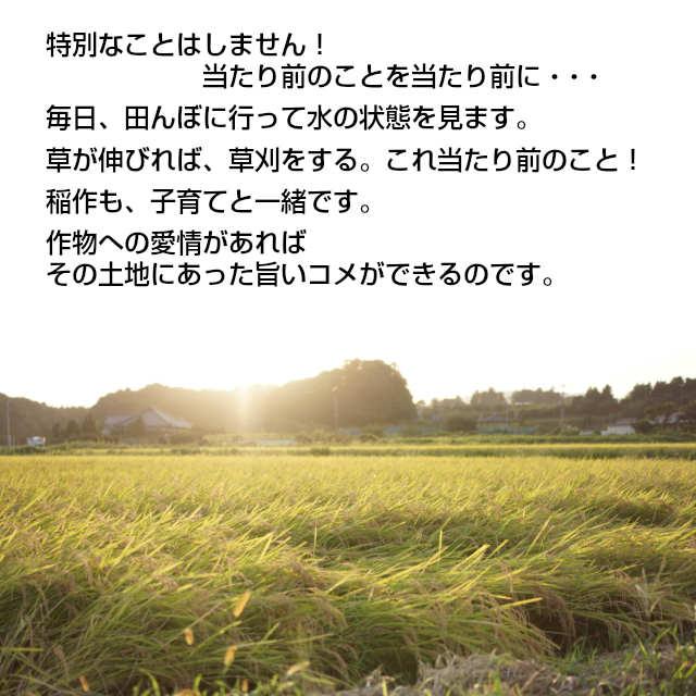 米 こしひかり 玄米 令和５年産 矢口さんちの 天の川のめぐみ 茨城コシヒカリ　30kg精米後27kg 精米無料 冷めてもおいしい  お取り寄せ