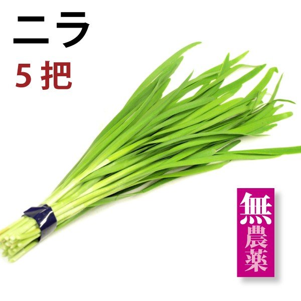 ニラ　（無農薬）　5把　　送料込