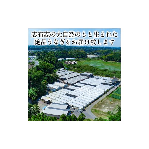 ふるさと納税 鹿児島県 志布志市 うなぎの大楠＜超特大＞2尾セット計380g以上(190g×2) a7-002