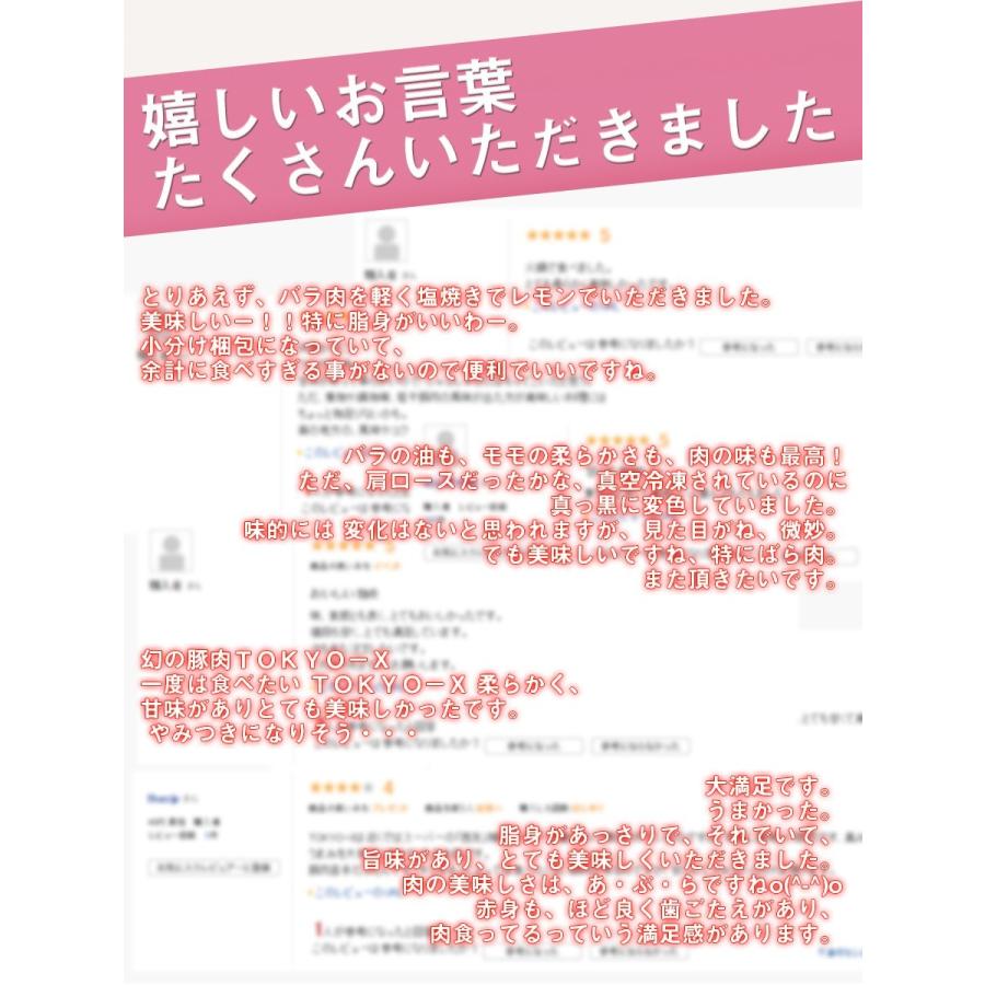 送料無料 TOKYO X 焼肉セット 800g 幻の豚肉 東京X トウキョウエックス 豚肉 肩ロース バラ肉 モモ肉 切り落とし 更におまけに100g 業務用 食品 おかず お歳暮