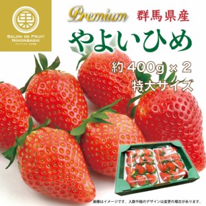 [予約 2024年2月11日-2月14日の納品] バレンタインデー プレミアムやよいひめ 約400g×2 計約800g 群馬県産 化粧箱 DX いちご