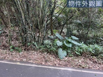 Q107水源段臨路好美地｜新北市淡水區水源段