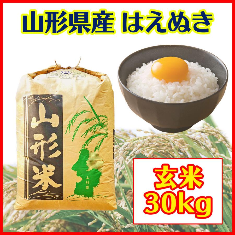 玄米　令和５年産　山形県産 はえぬき 1等 玄米 30kg