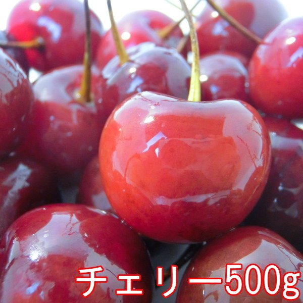 アスク トロピカルマリア 枝付き チェリー 500g