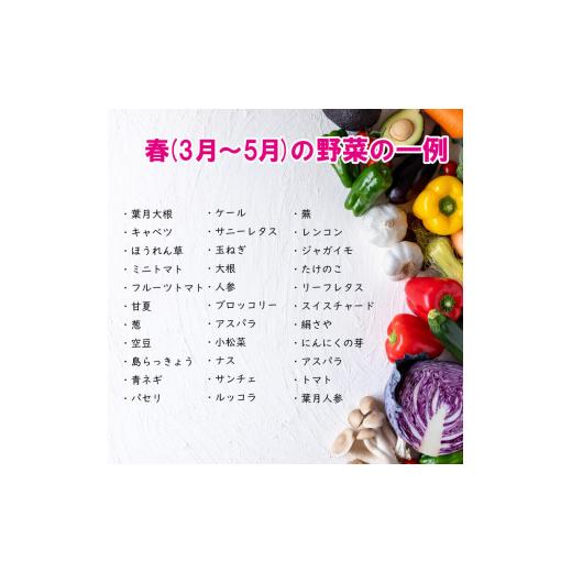 ふるさと納税 徳島県 阿波市 野菜 お楽しみ 定期便 12回 10~12品目 詰め合わせ セット 玉ねぎ とまと じゃがいも