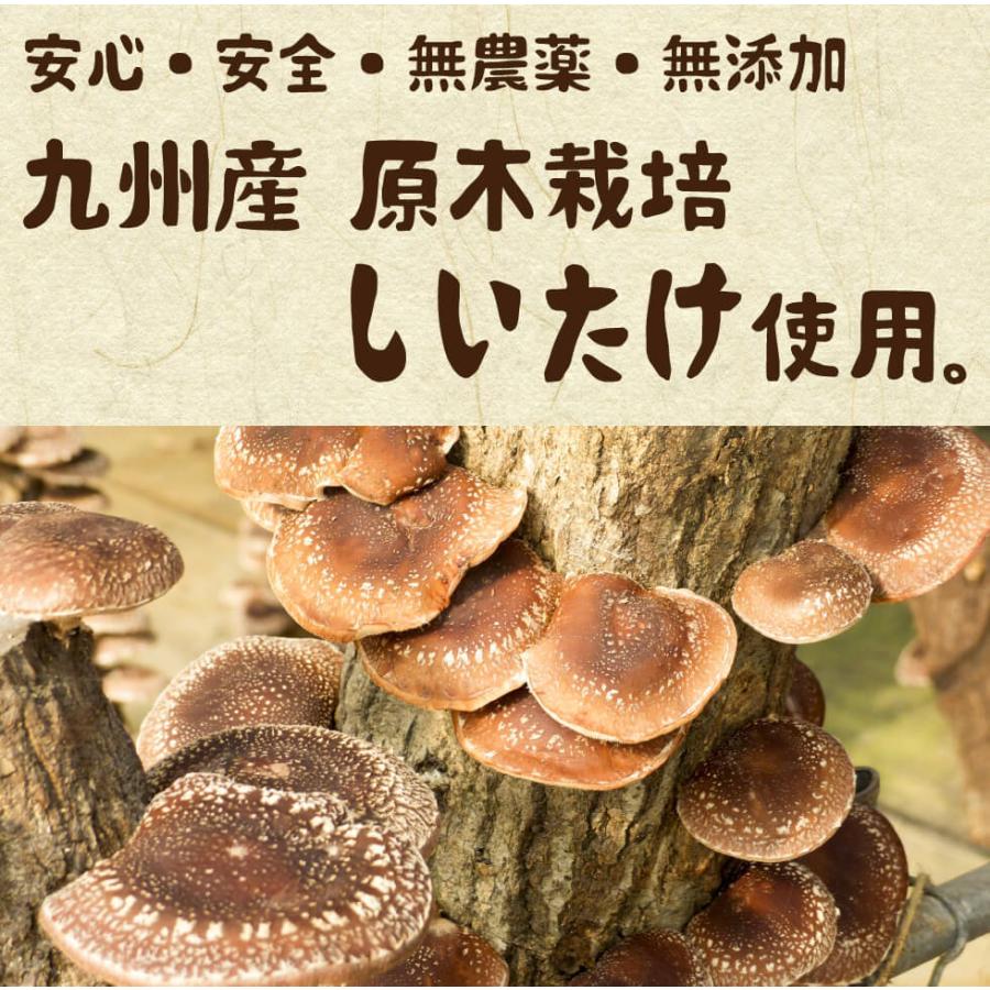 九州産　われ葉 乾しいたけ　40g×2袋セット 　  国産 無添加 無農薬 干ししいたけ 椎茸 しいたけ シイタケ 訳あり お徳用