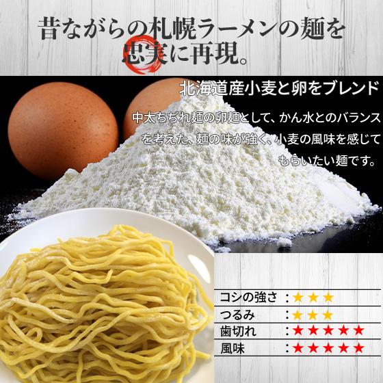 ラーメン お取り寄せ 北海道 グルメ 生麺 送料無料 翌日発送 北海道産小麦使用 卵麺 5食