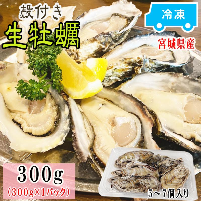 牡蠣 瞬間冷凍 レンジでチン 国産 宮城県産 300g 5〜7個入り お試し 冷凍 お取り寄せ 肉厚 時短 送料無料 殻付き [加熱用生牡蠣1袋 宮城県産] ship-sd