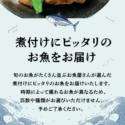 ふるさと納税 天草市 煮付け用　鮮魚セット_S121-002A