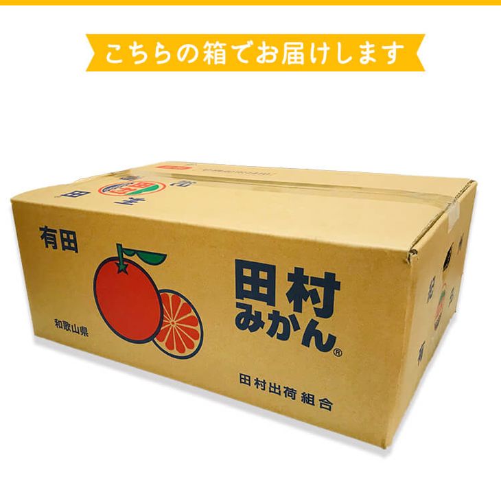 AB7127_絶品！ 田村みかん 5kg (S・M・Lサイズのいずれか)