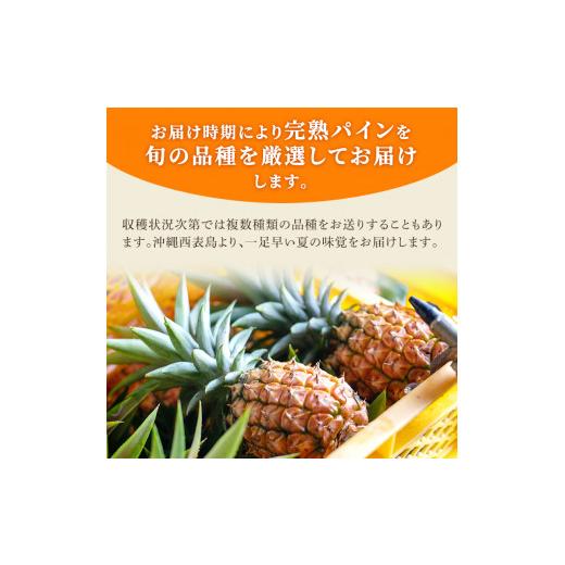 ふるさと納税 沖縄県 竹富町 2024年 先行予約 完熟 パインアップル 約3kg 水鴨農園 パイン パイナップル 果物 フルーツ