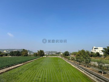 林園都內農地｜可蓋農舍廠房｜低單價5萬・臨路美地｜高雄市林園區潭頭段
