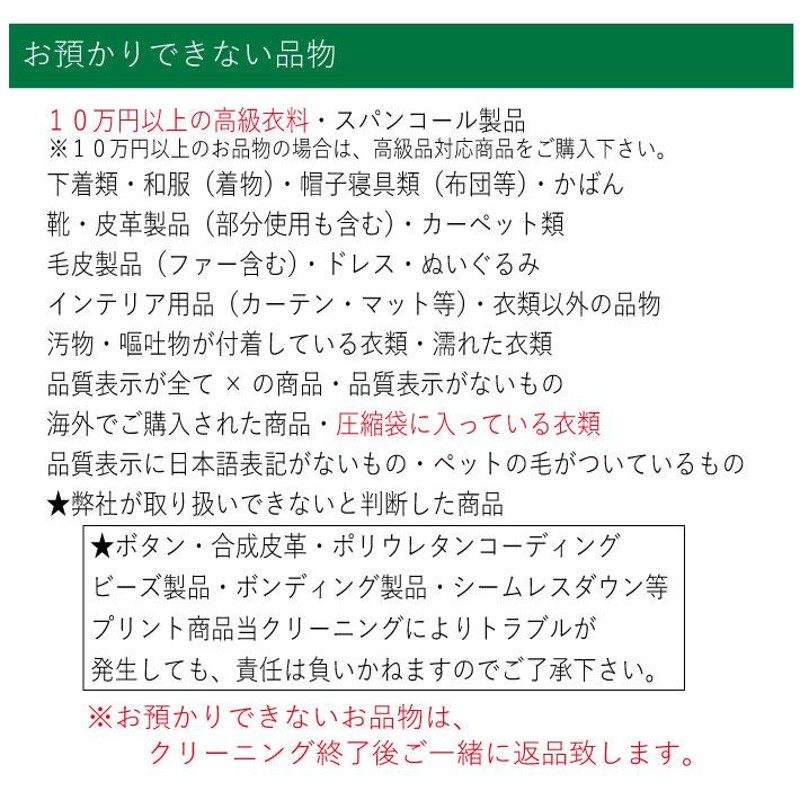 クリーニング 宅配 詰め放題 10点袋大（ブロガーさん推薦）衣替え 今