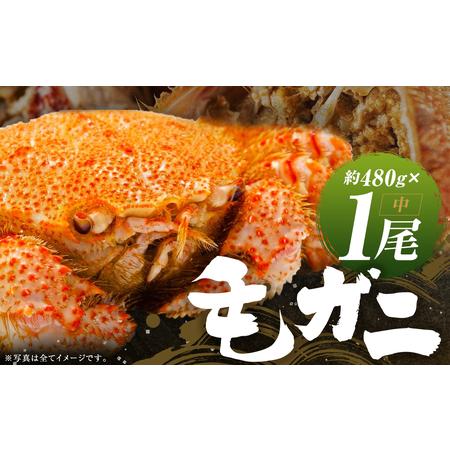 ふるさと納税 ミソたっぷり身がぎっしり詰まった毛ガニ(中)約480g×1尾 北海道様似町