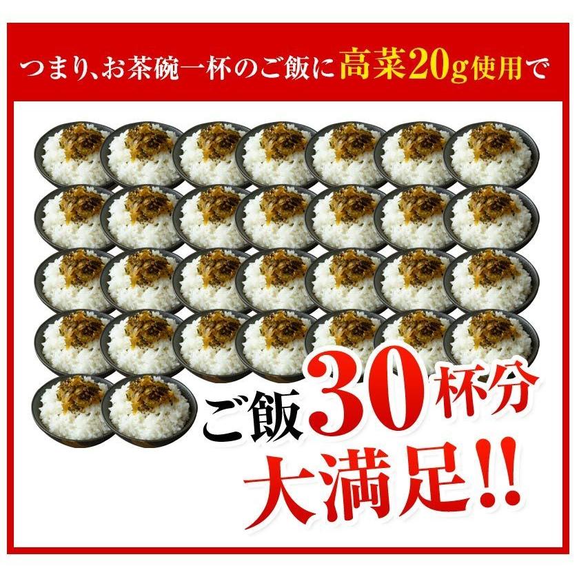 賞味期限2023年12月26日 辛子高菜 600g入(150g×4袋) 1000円 ポッキリ 送料無料 高菜漬け 小分け ご飯 お供 漬け物 1-5営業以内発送予定(土日祝除)