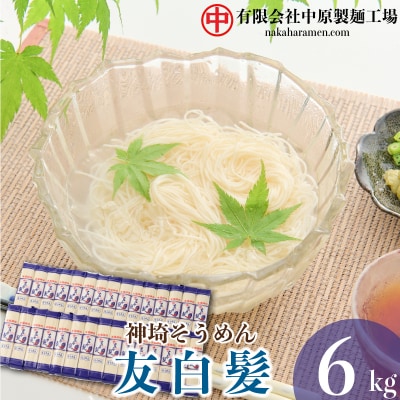 神埼そうめん「友白髪」 30袋入り (H045103)