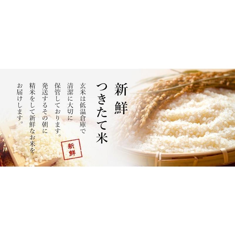 ひろしまのお米 玄米30kg 白米 分づき 送料無料