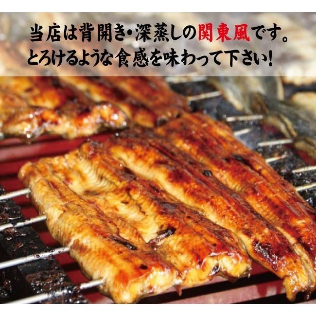 蒲焼・白むしの２種類　手焼き　国産うなぎ　蒲焼４尾・白むし１尾　送料無料　冷蔵クール便