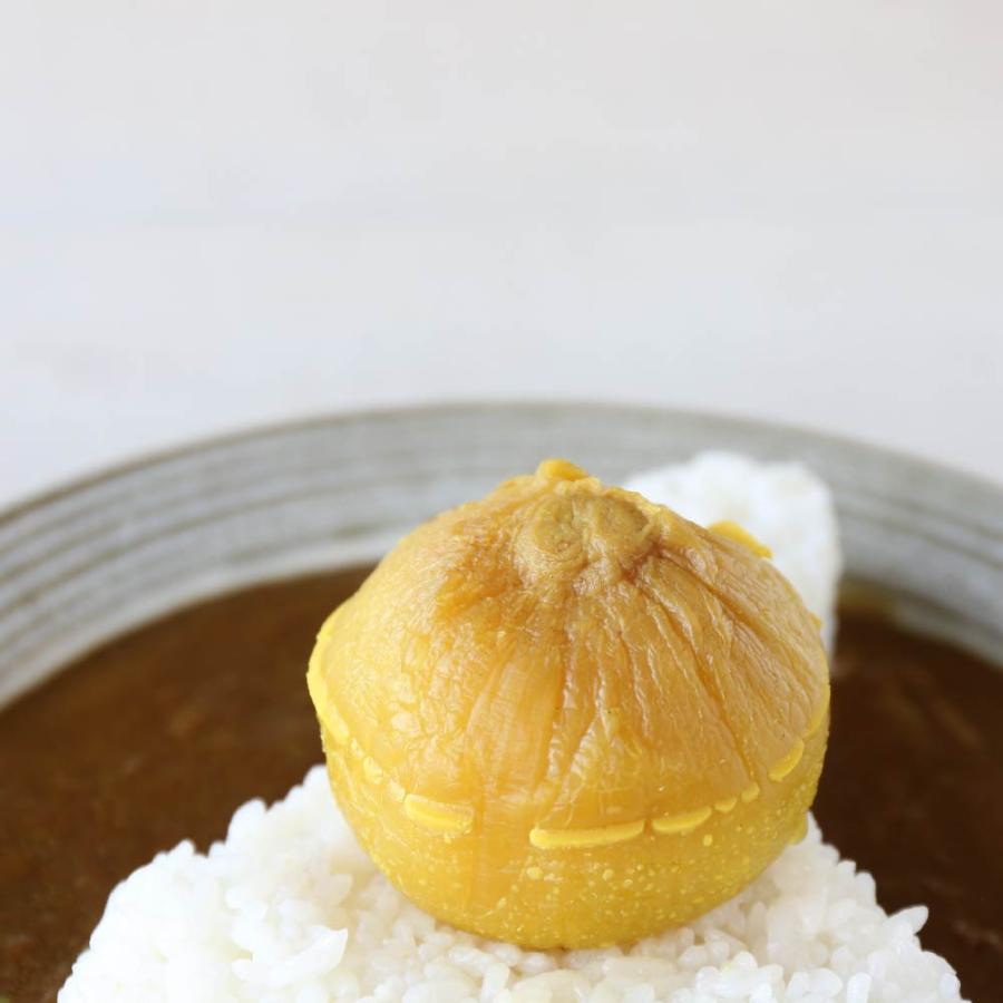 淡路島玉ねぎまるごとカレー（300g）×15個セット