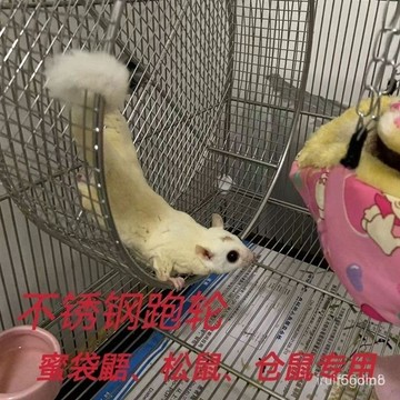 🔥桃園有貨🔥【2478人好評】304不銹鋼蜜袋鼯跑輪鬆跑輪倉跑輪鸚鵡跑輪刺蝟跑輪懸掛跑輪 VAEX