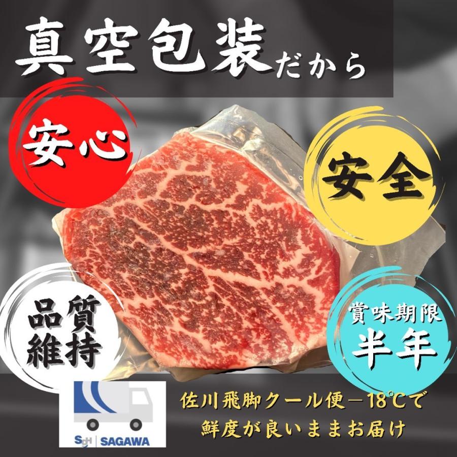 シャトーブリアン  ヒレステーキ 各100g×2 低温熟成 国産 牛 焼肉 赤身 肉 セット お洒落 贈り物 book型