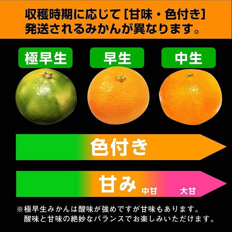 美味いとこどり 高糖度 みかん 和歌山県産 赤秀 有田ミカン (3kg) お歳暮 のし対応可能