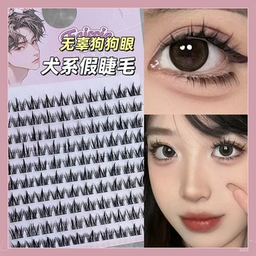 【隔日到貨】霏汐 犬系假睫毛 濃密漫畫假睫毛 懶人假睫毛 懒人三部曲 單簇分段式嫁接假睫毛 假睫毛自然日常