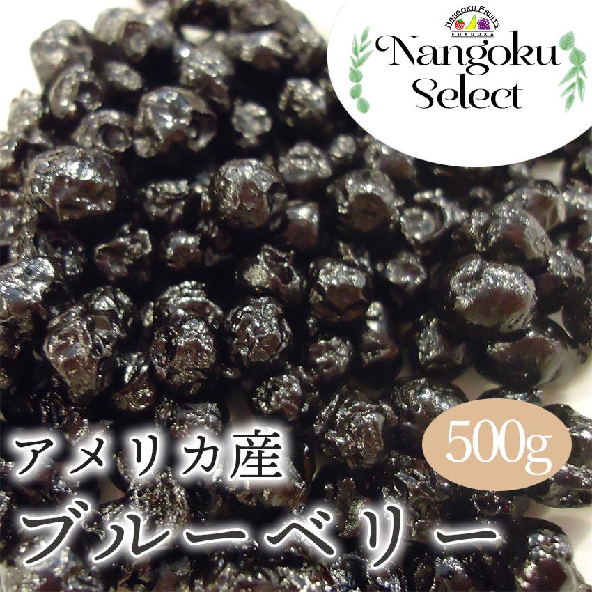 ドライフルーツ・アメリカ産ブルーベリー　500ｇ