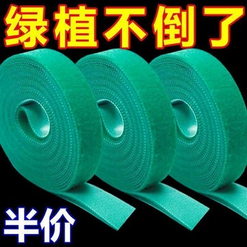 植物綁帶綠植紮帶捆綁魔術貼 綠色粘扣帶 不傷植物支撐固定熱植綁帶植物捆綁 植物固定器 植物固定 AOPL