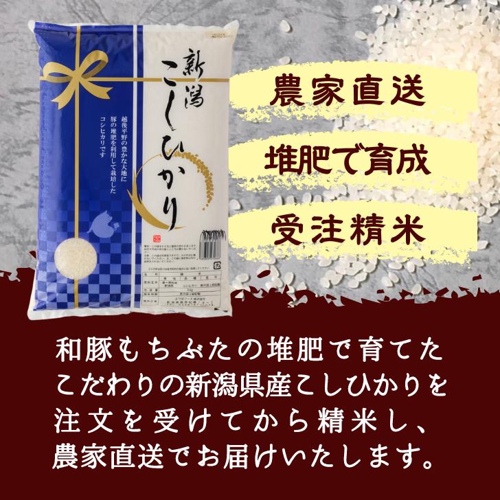 新米 5年産 米 新潟 産 コシヒカリ 10kg 新潟 こしひかり 受注してから精米します 白米 精米 甘い 減農薬 農家 直送 新潟県産 ギフト 米 内祝い プレゼント