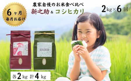 令和5年産新米 農家自慢のお米食べ比べ『新之助・コシヒカリ』各2kg 計4kg×6回 特別栽培米』毎月お届け 計24kg 家族みんなで愛情かけて育てた米 新潟県糸魚川産 2023年 こしひかり しんのすけ