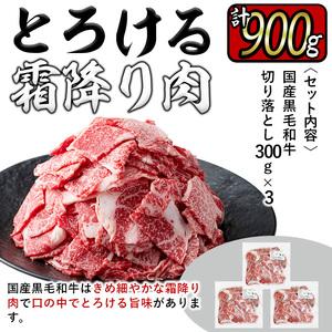 ふるさと納税 a6-023 国産黒毛和牛切り落とし 計900g(300g×3P) 鹿児島県志布志市