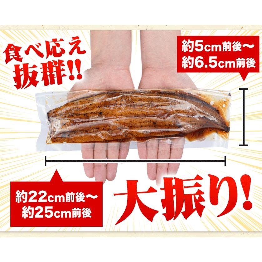 うなぎ 国産 蒲焼 蒲焼き 1尾155g以上 合計310g 鰻 九州産 ウナギ 鰻 ギフト 贈り物 九州 冷凍 1-5営業日以内に出荷予定(土日祝除)