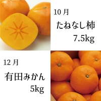 偶数月にお届け♪和歌山のフルーツ堪能定期便！不知火・木成り八朔・すいか・巨峰・たねなし柿・有田みかん