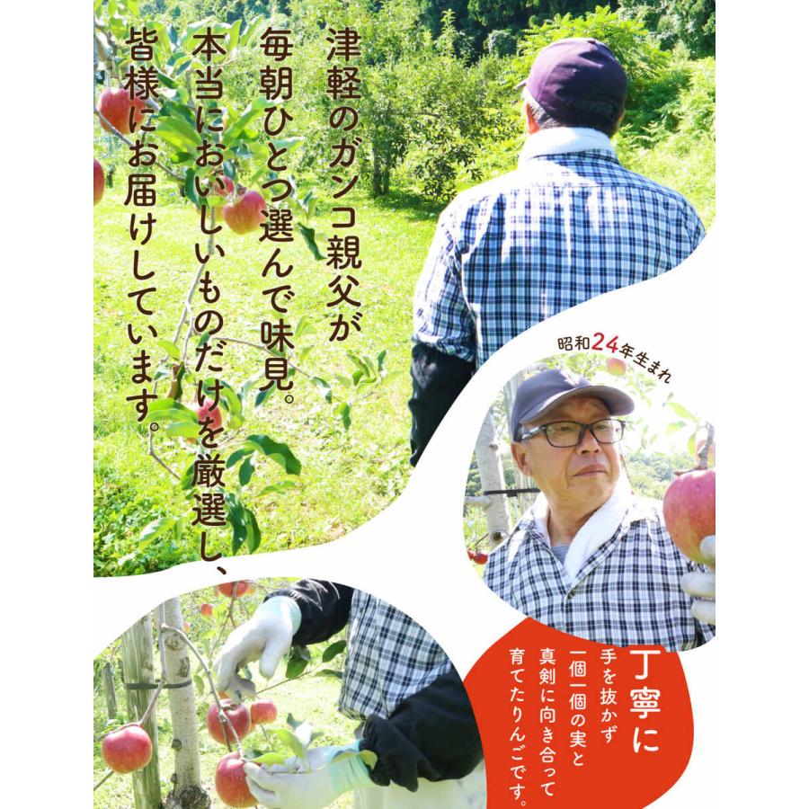 2023年産 青森県産りんご ご家庭用 訳あり サンふじ10kg （約32玉〜50玉入り）産地直送