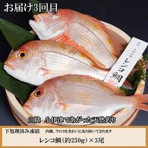 ふるさと納税 風味豊かな出雲のお魚詰合せをお届けします！ 島根県出雲市