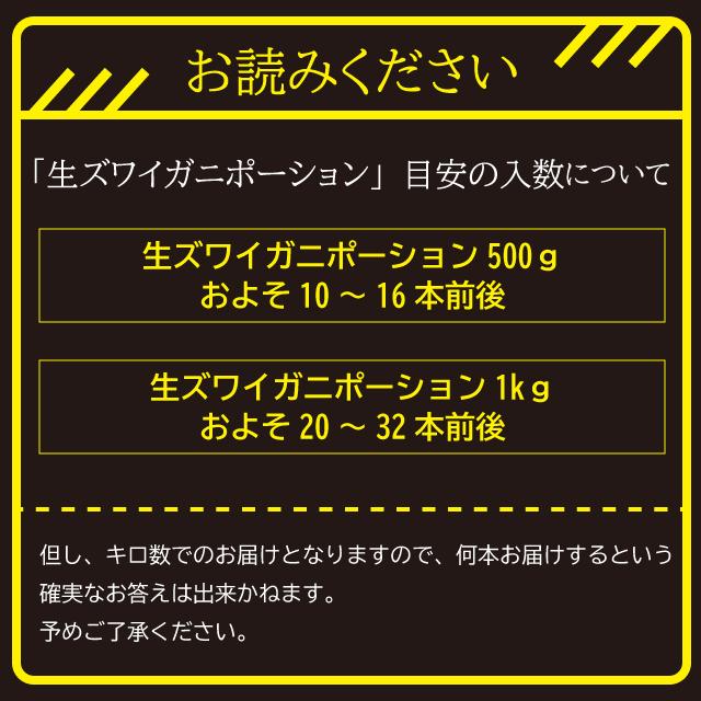 お歳暮 ギフト カニ 送料無料 生ズワイガニポーション500ｇ（特大 6L〜7Lサイズ）   御歳暮 冬ギフト カニ 蟹 カニ ずわいがに 海鮮 海鮮セット 内祝い