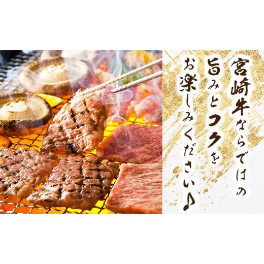 ふるさと納税 宮崎県 串間市 KU426  宮崎牛 モモ焼肉 計800g（400ｇ×2）