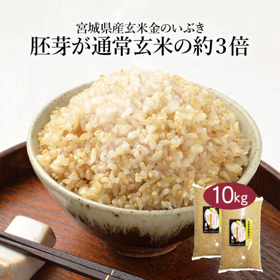 玄米 10kg 米 お米 金のいぶき 玄米 宮城県 送料無料 おこめ 米10kg 玄米10kg 5kg×2 10キロ 美味しい 銘柄 単一原料米 令和5年産 宅配 安い 格安