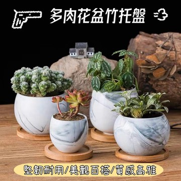木盤 木質托盤 花盆底盤 盆栽底盤 拖盤 櫸木 竹製底盤 竹托 多肉花盆竹底盤 餐盤 碟子 竹底盤 竹托盤