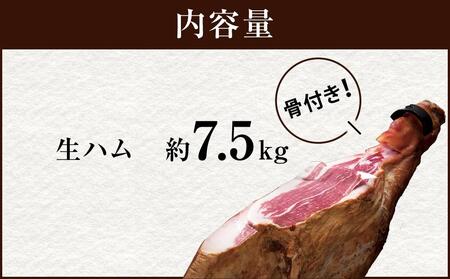 生ハム 熟成 骨付き 鹿児島黒豚 骨付き生ハム 2年熟成 黒豚 生ハム クリスマス Xmas パーティー