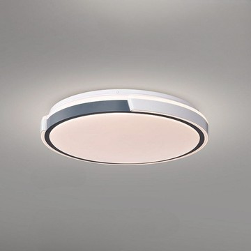 72W 單色吸頂燈 L01-2163B