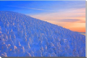 風景写真パネル 山形 蔵王 樹氷 スノーモンスター 極寒 絶景 大自然 インテリア アートパネル ウォールデコ グラフィックアート パ