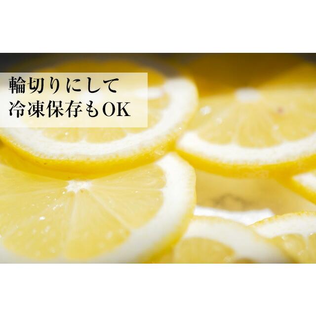 国産 レモン 璃の香 2kg 農薬不使用（栽培期間中）  ノーワックス れもん 檸檬  福岡県産