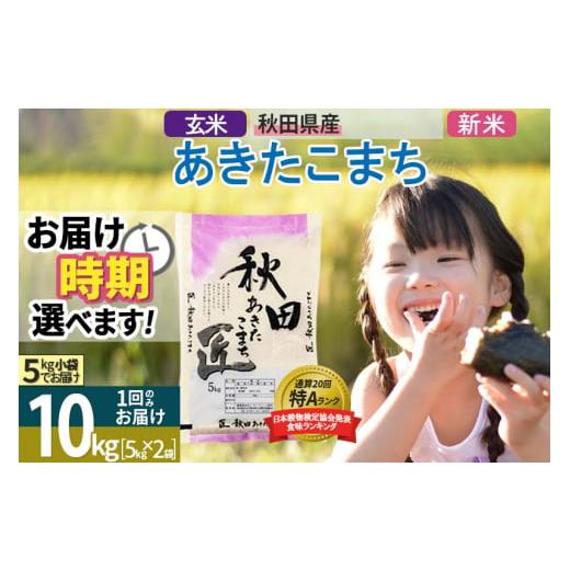 ふるさと納税 秋田県 仙北市 ＜新米＞ 秋田県産 あきたこまち 10kg (5kg×2袋) 令和5年産 時期選べる 10キロ お米 発送時期が選べる